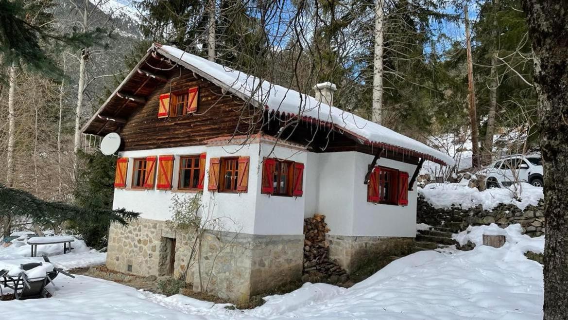 Chalet Le Tyrolien, Au Coeur Du Boreon Saint-Martin-Vésubie Exterior foto